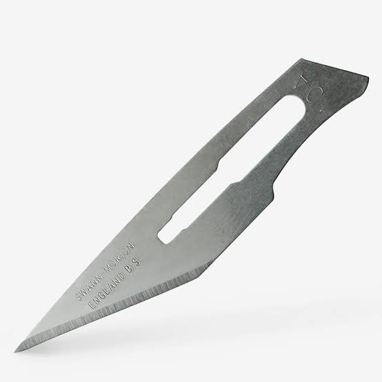 SURGICAL BLADES WITHOUT HANDLE